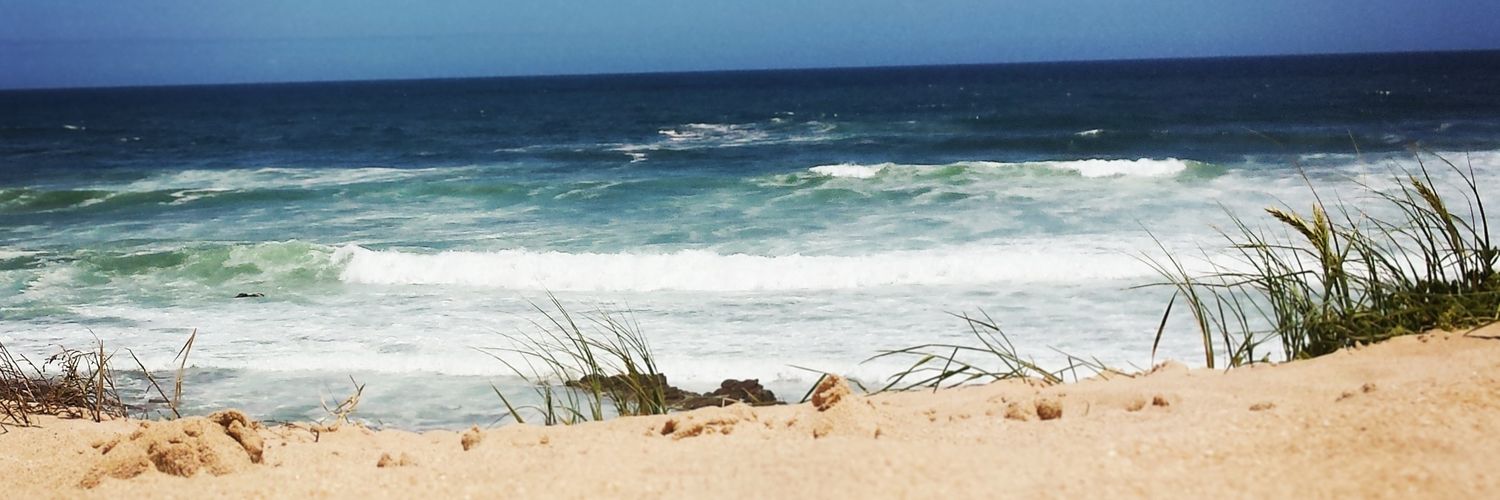 MaxineIsenberg's profile banner image