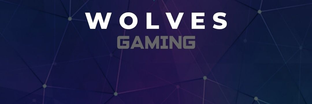 WOLVESgamingOFICIAL banner