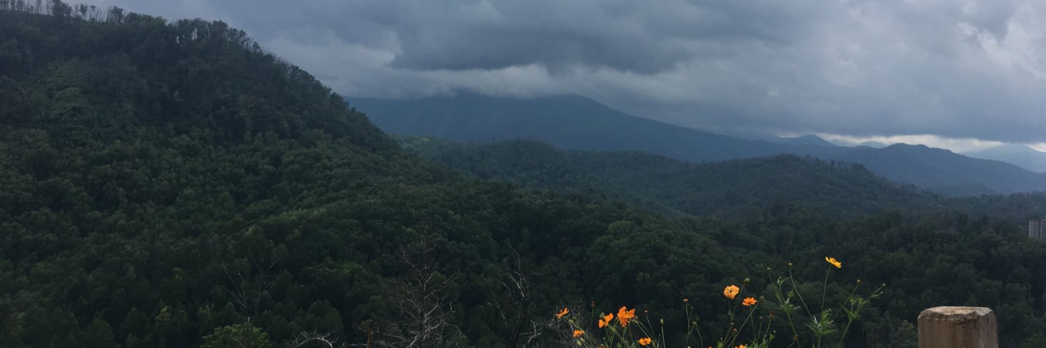 abimessing's profile banner image