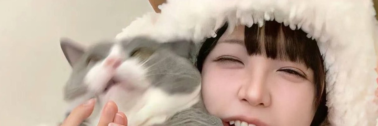Xuedinz's profile banner image