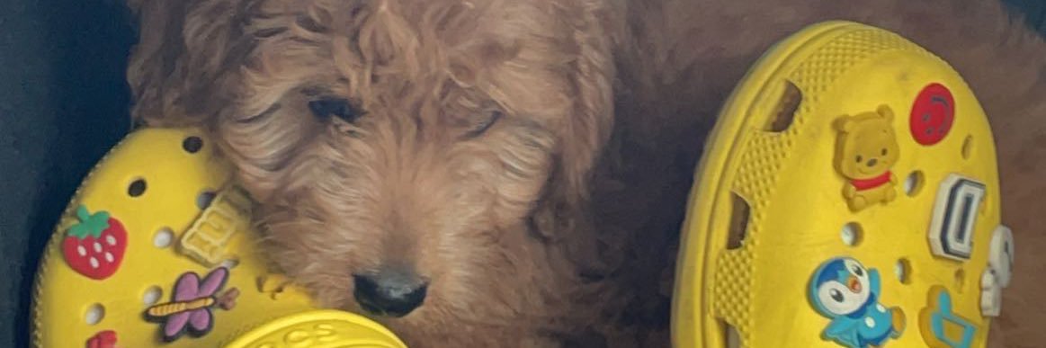 _ambgg's profile banner image