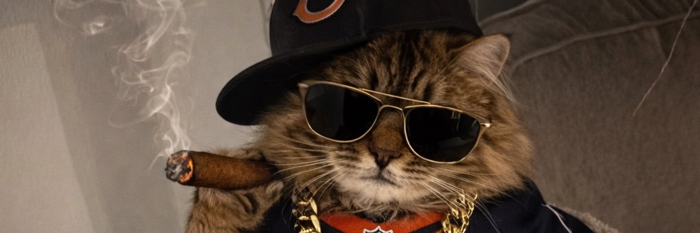 MzimmerJ's profile banner image
