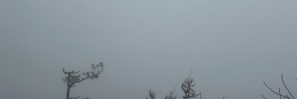 amandasharoncd Profile Banner