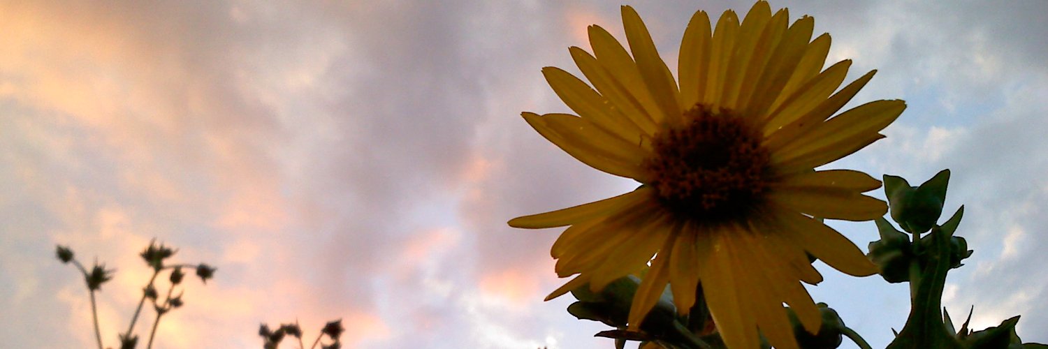 Asparkler's profile banner image