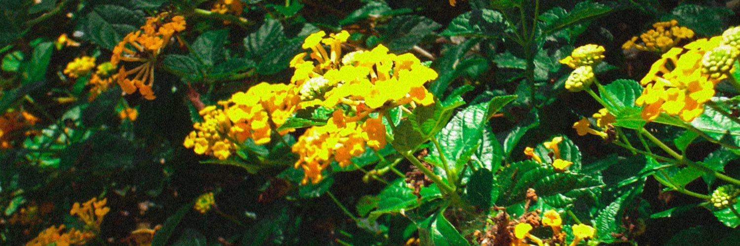 jeegarciag's profile banner image