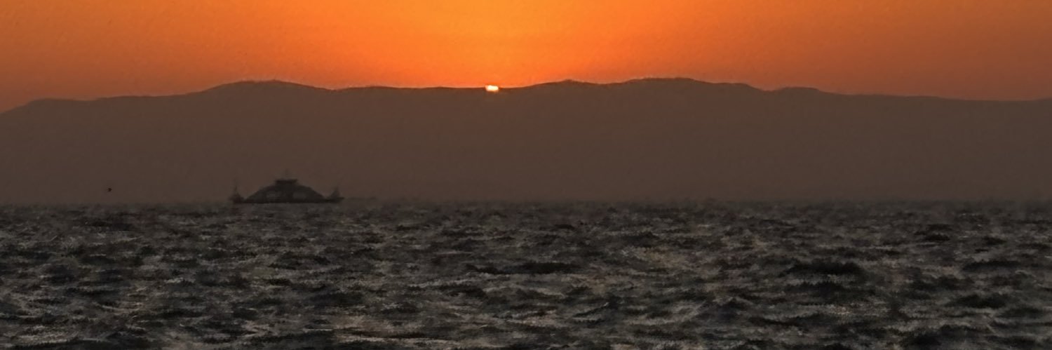 anonimblom's profile banner image
