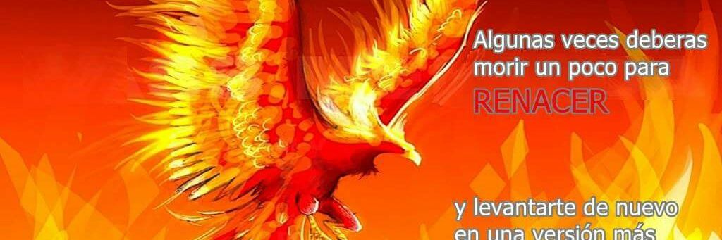 sraerik's profile banner image