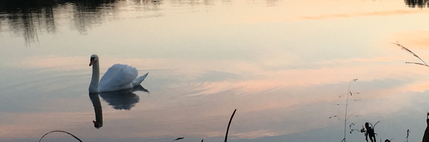 CandiKForbes's profile banner image