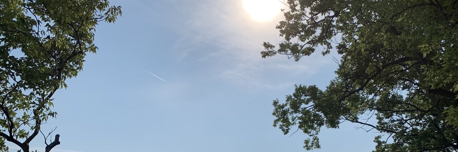 thecgreen's profile banner image