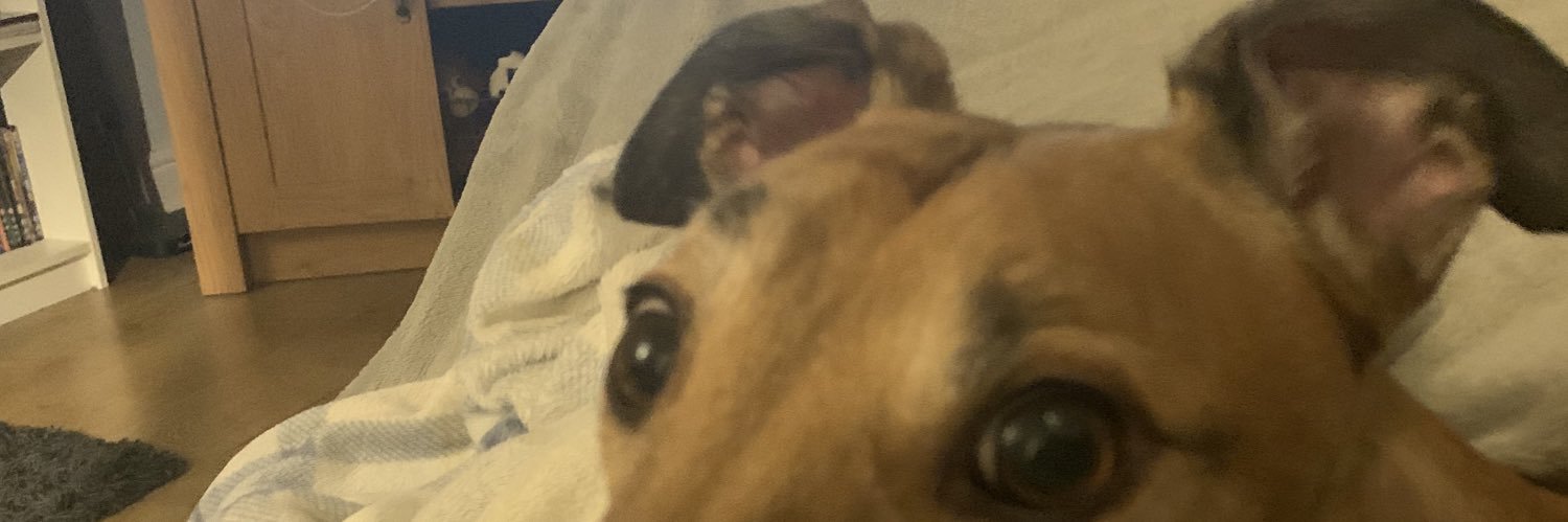 joshgb13's profile banner image