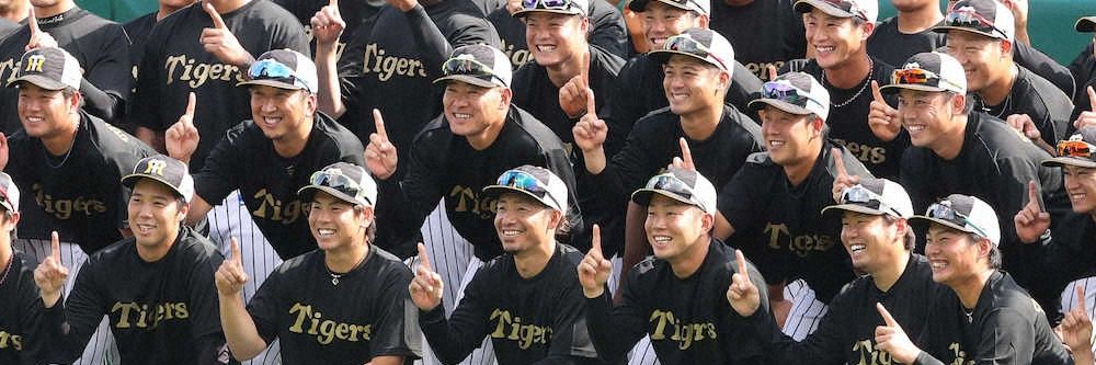 everydaisuke's profile banner image
