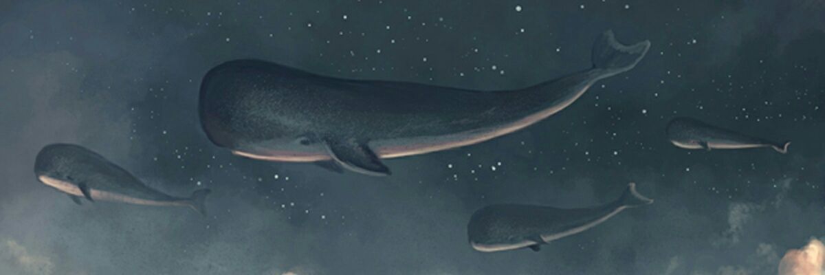 _ptero's profile banner image