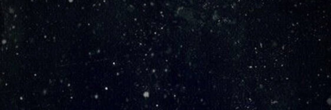 suusa_1417's profile banner image