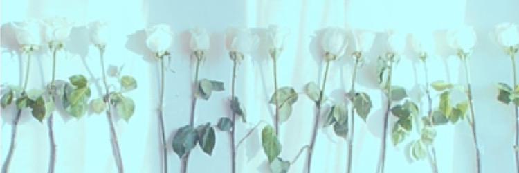 mcmckmc's profile banner image