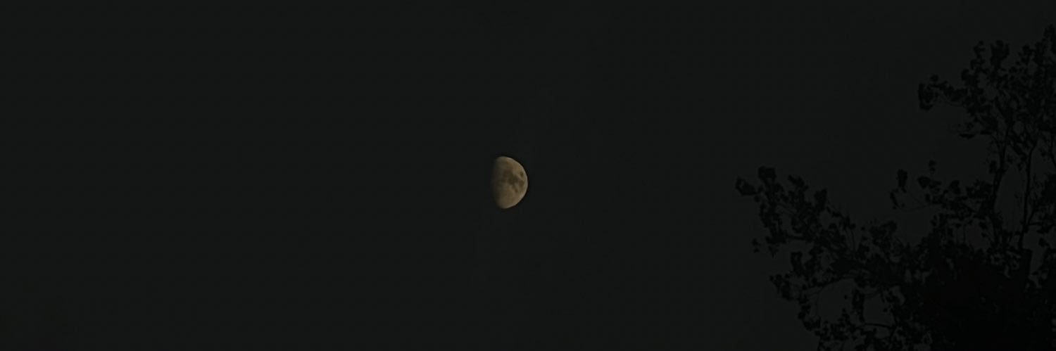 an banner