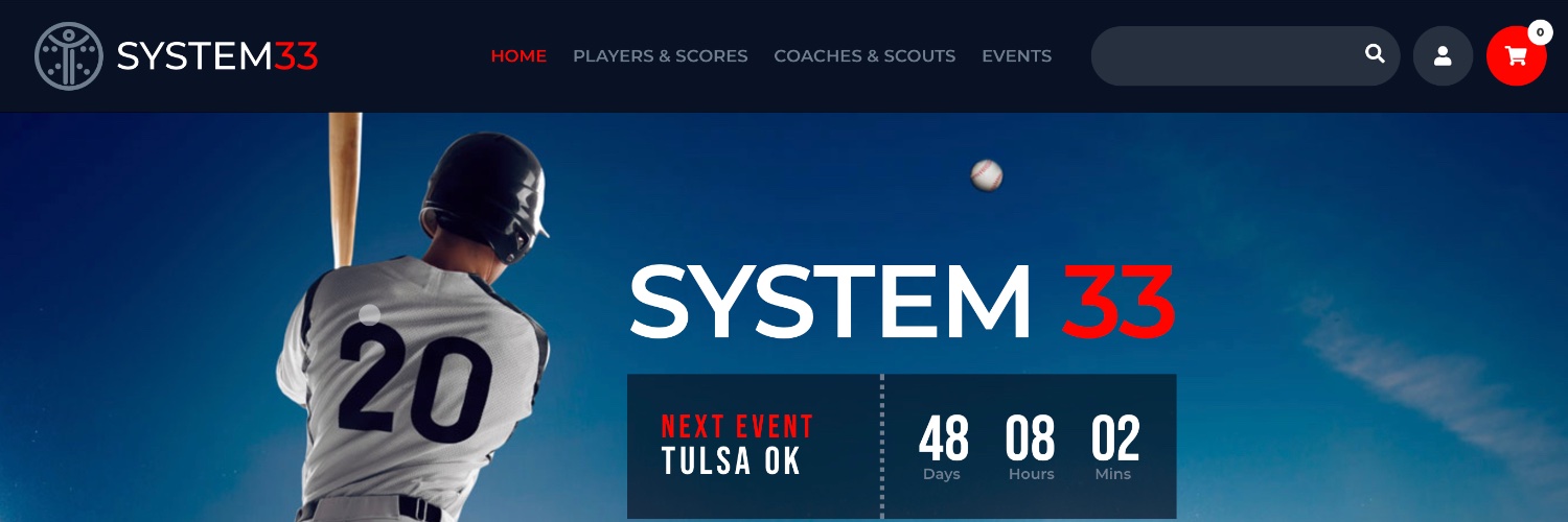 System 33 banner
