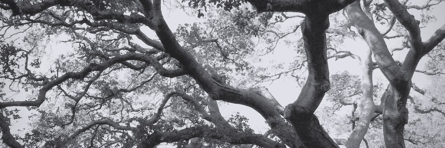EMFord1925's profile banner image
