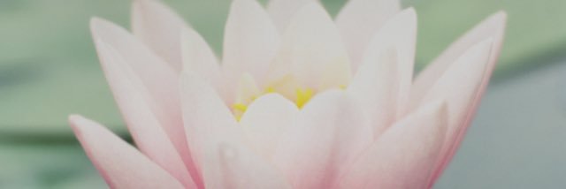georgeinsandals's profile banner image