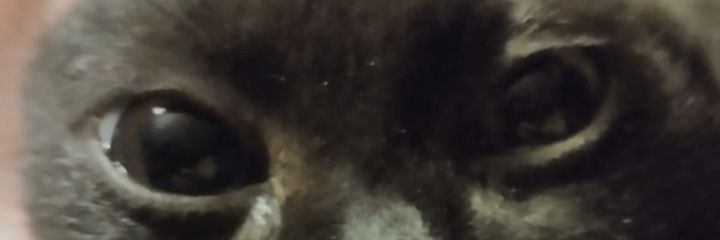 PanBolsa's profile banner image