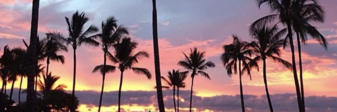 gurlybuzz's profile banner image