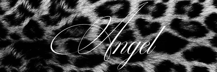 campagnhe's profile banner image