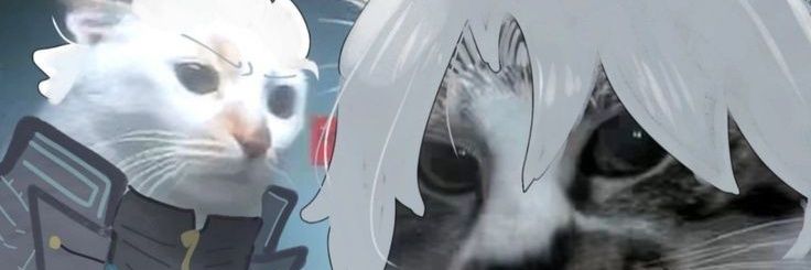 🪻Rize VT🪻 banner