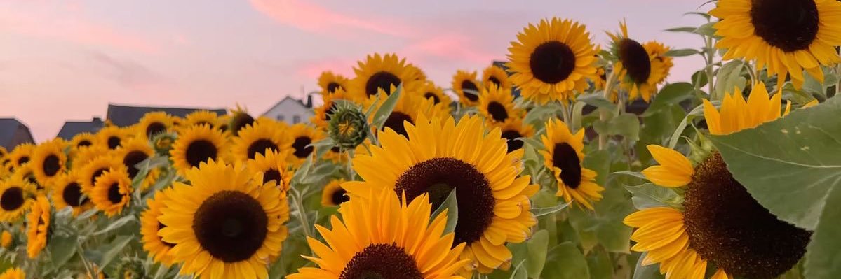 ✨🌻Mrs. Alnazar🌻✨ banner