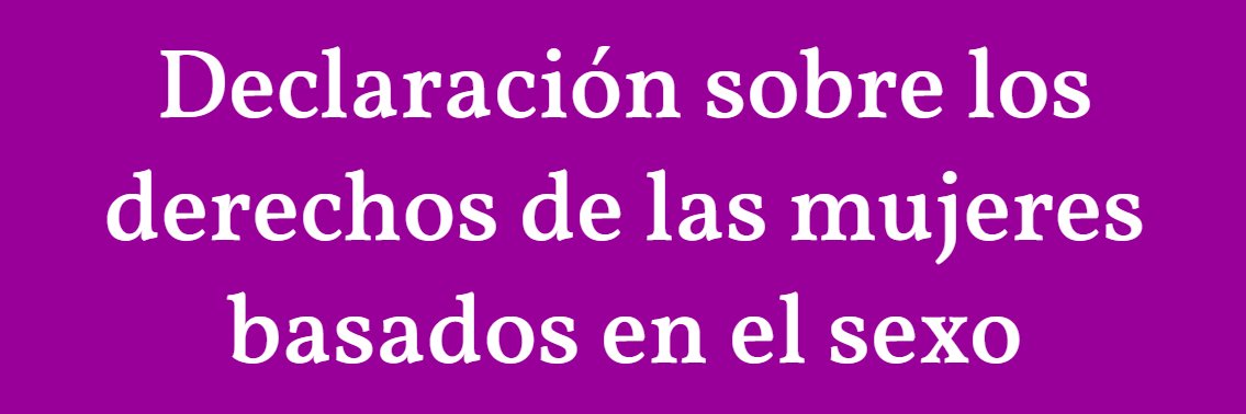 WDI España #ChalecosMorados #ResistenciaFeminista banner