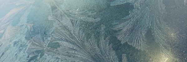 Trematode12 Profile Banner