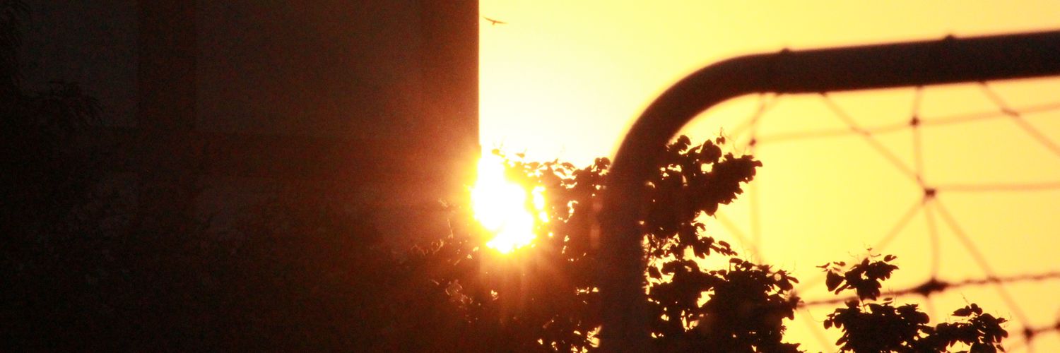 janamehta003's profile banner image