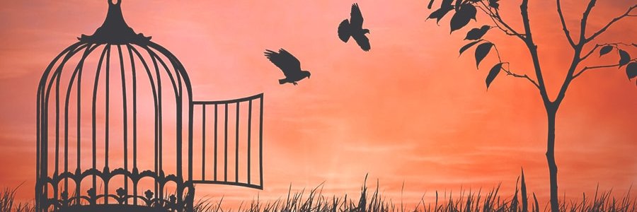 islamlib's profile banner image