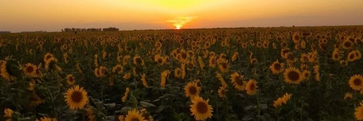 CataFaccini's profile banner image
