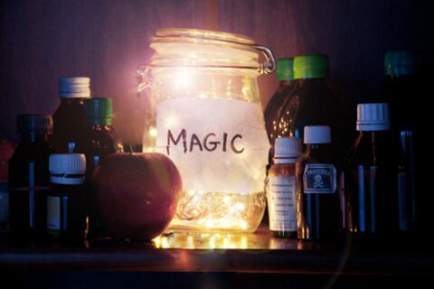 MagissaLeme's profile banner image