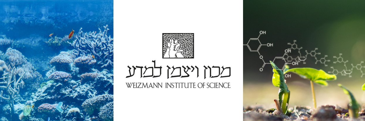 Weizmann_PES banner