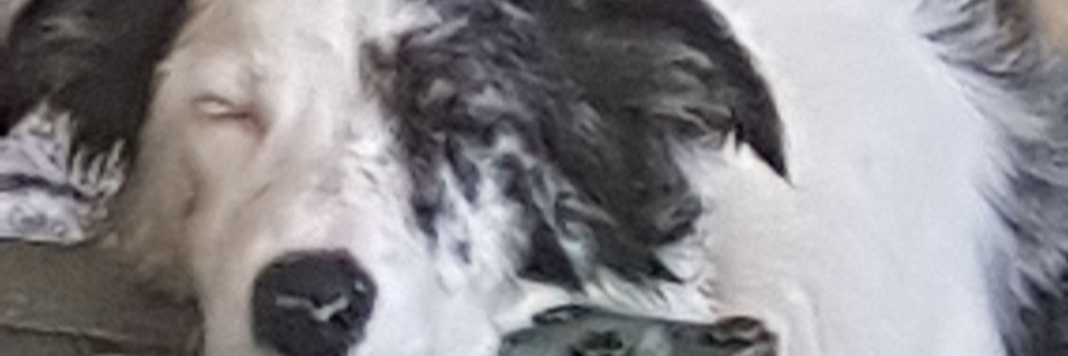 annhyde05's profile banner image