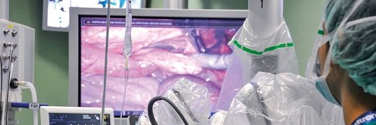 Tremirs Project banner