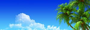 Ter Loey banner