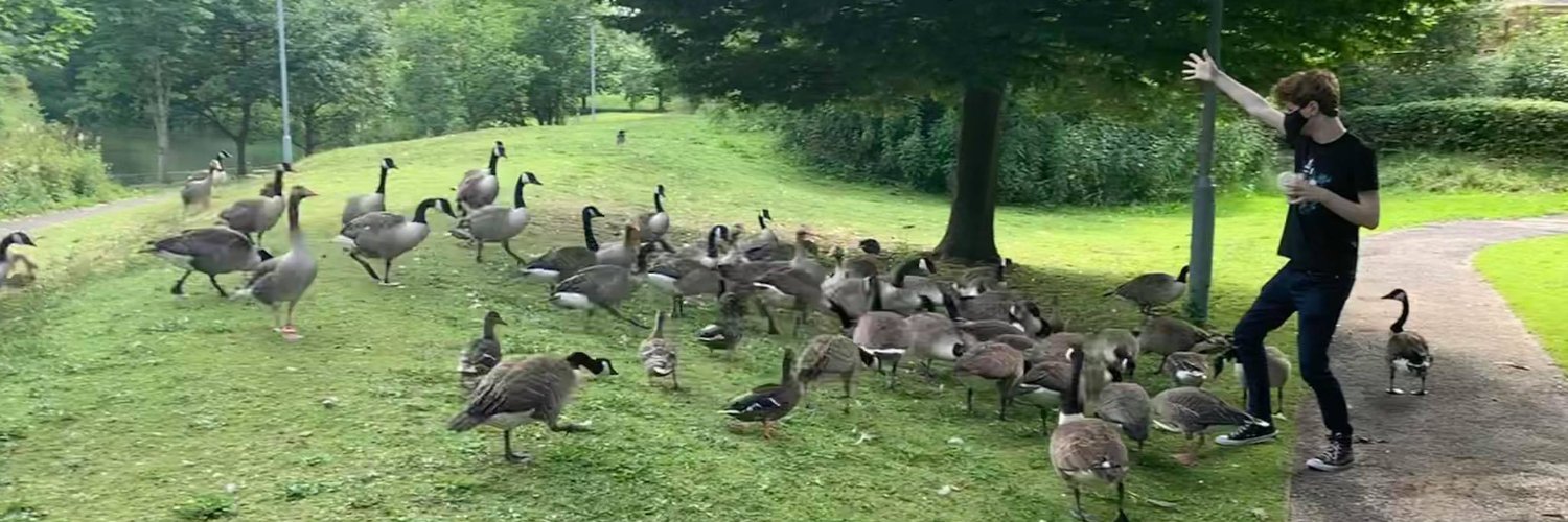 Daniel Ilett 🏳️‍🌈 banner