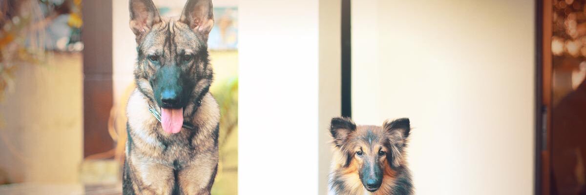 cukicrumbs's profile banner image