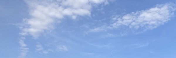 ChiekoTazuke Profile Banner