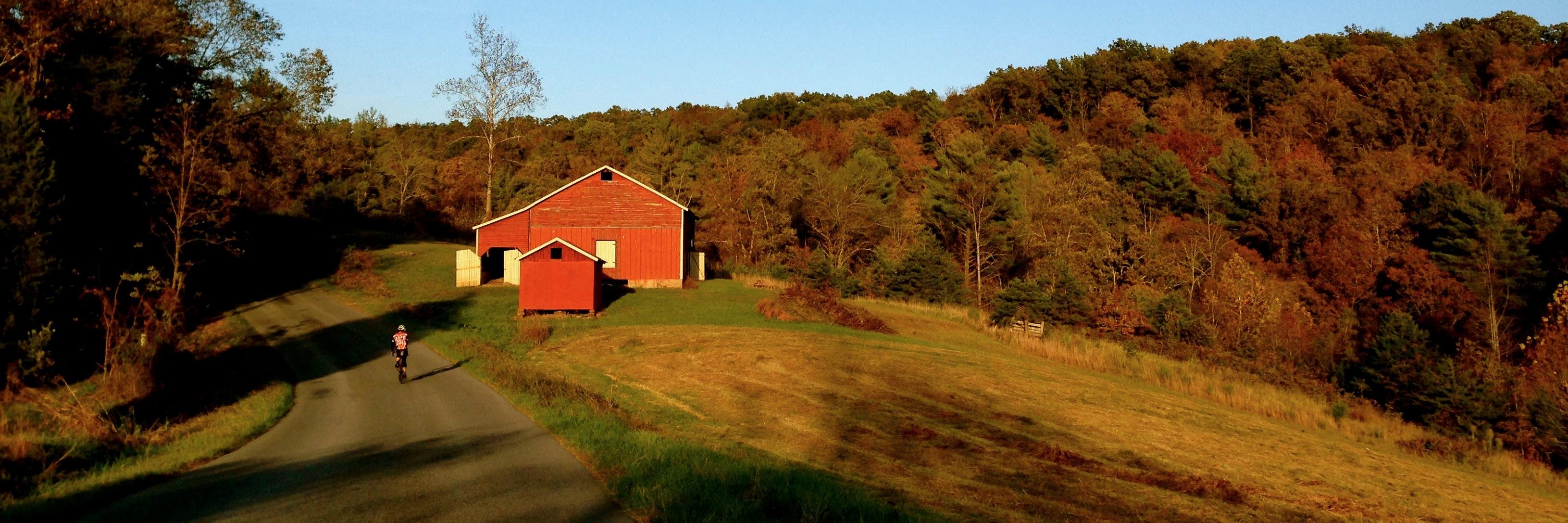 Ross Kippenbrock banner