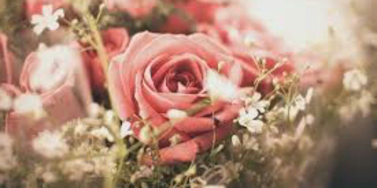 megaa_andriani's profile banner image