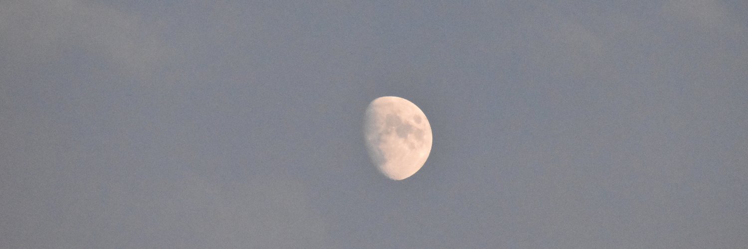 Alicia Sanz Maestro banner