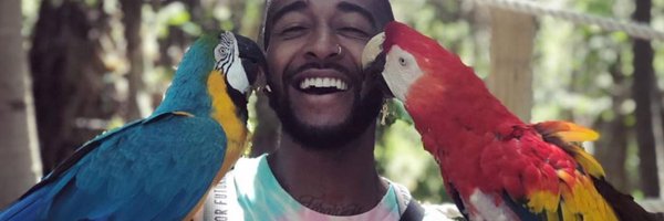 im_Q_btw Profile Banner
