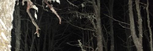 ꯱ׁׅ֒ ♱⋆ banner
