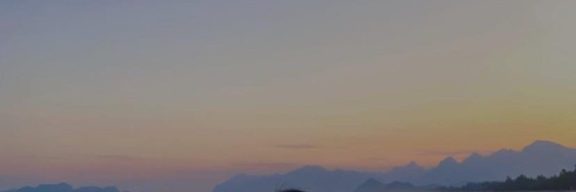 aomm banner