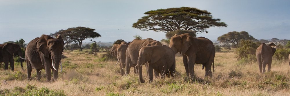 Kamakil's profile banner image