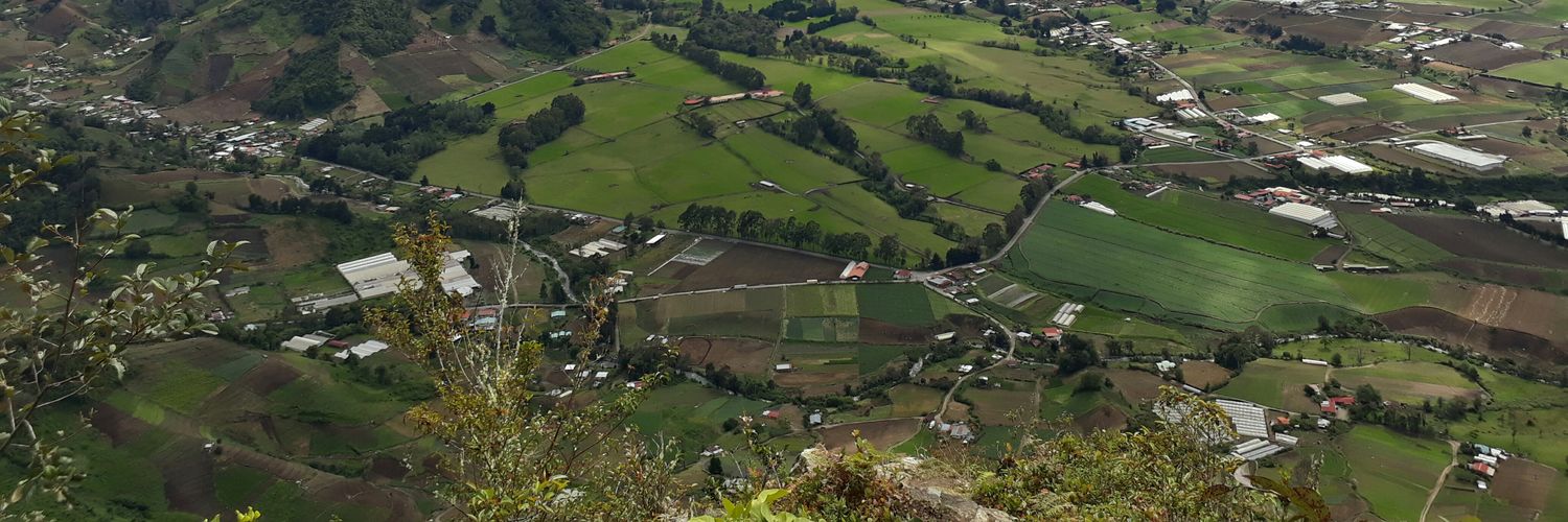 wilberto1083's profile banner image