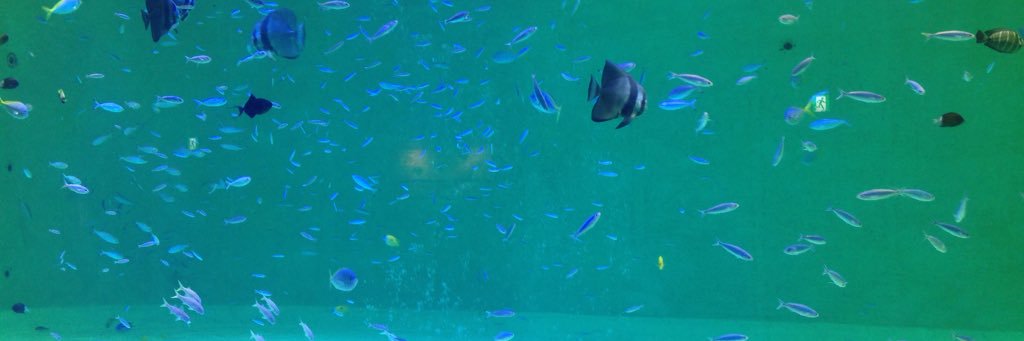 march_ing's profile banner image
