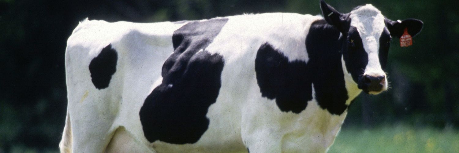 Ghastly Modern Thing banner